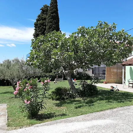 Cozy Apartmant Fran * Pula